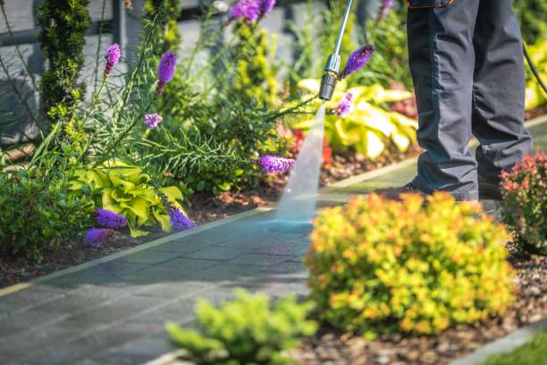 Best Winterizing Services  in Marianne, PA